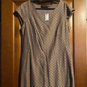 NWT The Limited tan lace short sleeve dress, size medium